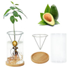 2 Pack Avocado Tree Growing Kits Growing Vase Wooden Base Avocado Seed Starter Vase Glass Plant Pot