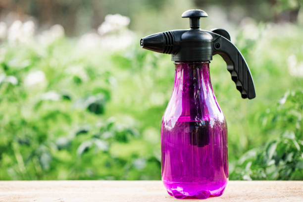istockphoto-1352804786-612x612