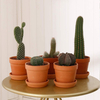 4 Inch Terra Cotta Pots with Saucer GT14037-1A