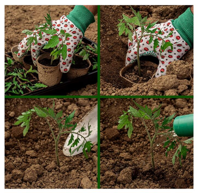 Seed Starter Kit GT23045