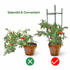 Tomato Cages Plant Cage Stakes GT25059
