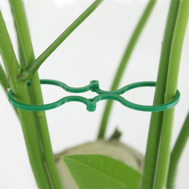 Plant Clips for Climbing Plants GT4542