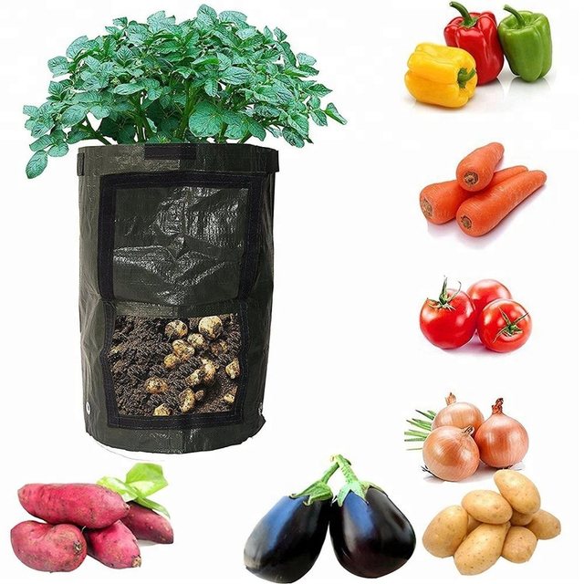 Potato Grow Bags GT15007