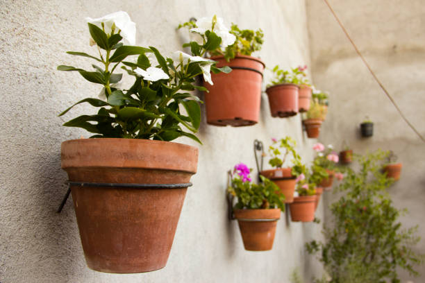 istockphoto-1355971252-612x612