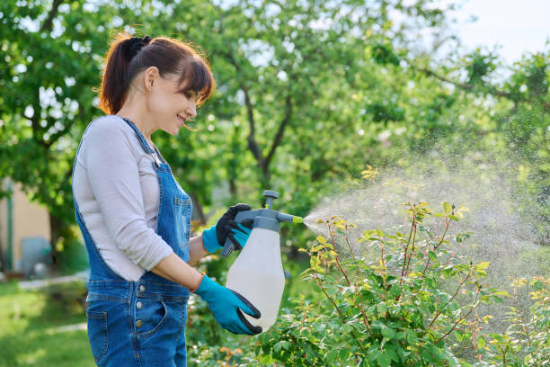 istockphoto-1497380600-612x612