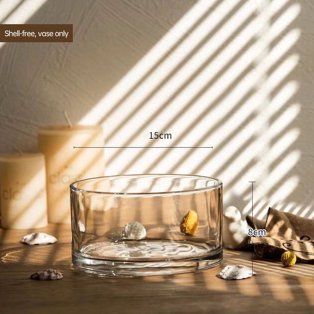 Micro-landscape Ecological Bottle Large-mouthed Glass Vase