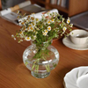 European-style Minimalist Transparent Glass Vase