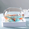 Glass Bubble Bowl Small Fish Bowl Round Terrarium Vase
