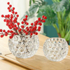 Bowl Glass Vase Clear Bubble Planter Terrarium Fish Bowl