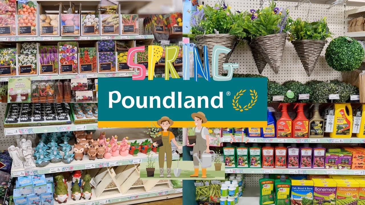 Poundland's increased investment in homeware (1)