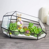 Tabletop Planter Natural Wood Board LED Succulents Grow Light Display Indoor Geometric Glass Terrarium Succulent Fern Bonsai