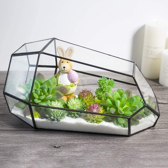 Tabletop Planter Natural Wood Board LED Succulents Grow Light Display Indoor Geometric Glass Terrarium Succulent Fern Bonsai