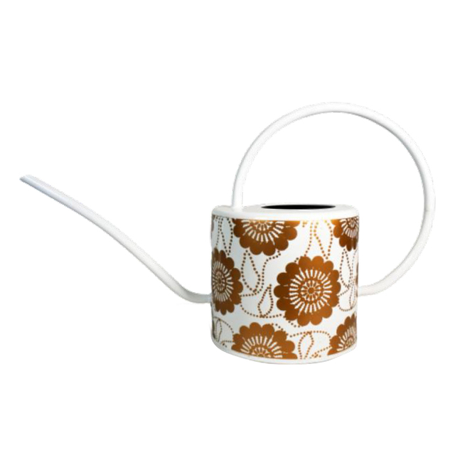 1.7L 50 Oz Metal Watering Can