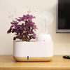 Lazy Person's Water Storage Humidifier, Intelligent Flower Pot Humidifier, Flower Pot
