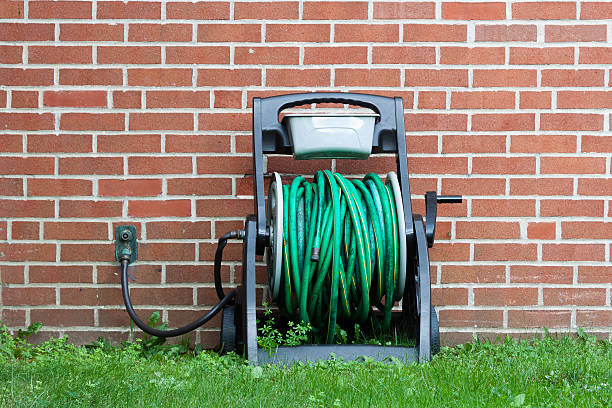 istockphoto-490436086-612x612