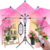 Grow Light with Stand GT3007