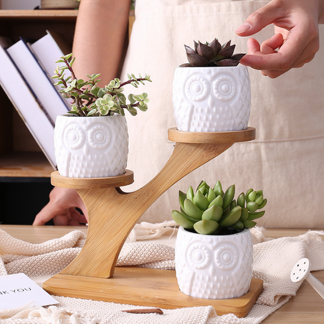 Cute Flower Pots GT14560