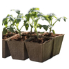 Seed Starter Peat Pots Kit GT23026