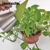 Indoor Bonsai Mini Silver Stainless Steel Long Spout Watering Can 