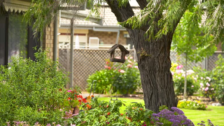istockphoto-1278329121-640x640