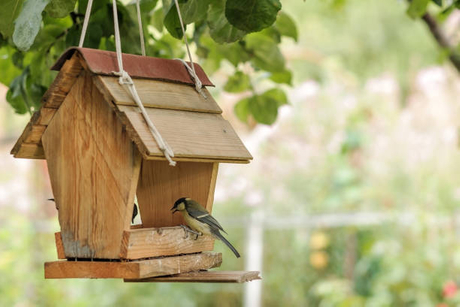 istockphoto-831484332-612x612.jpg