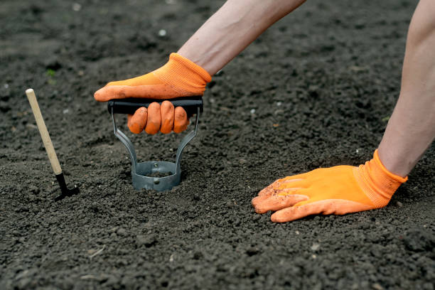 A Must-Have Tool for Every Gardener