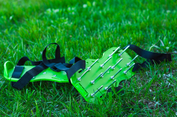 istockphoto-1448249569-612x612