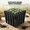 hydroponic seedling container