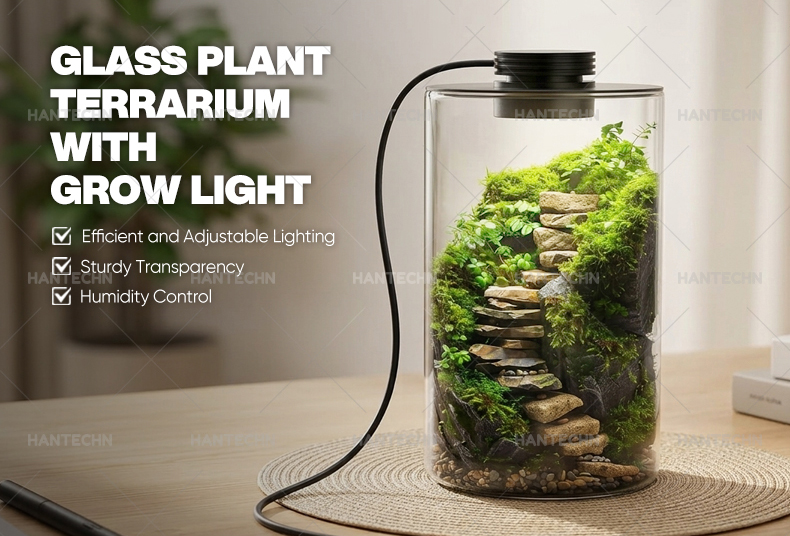 Plant-Terrariu1-Detail_02.jpg