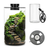 Desktop Glass Plant Terrarium with Grow Light