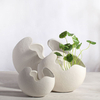 Home Garden Planter