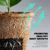 Coconut Coir Biodegradable Pots
