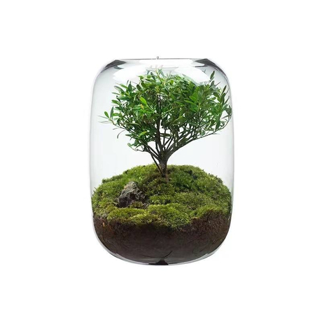 Micro Landscape Vase.jpg