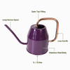 Bonsai Watering Can