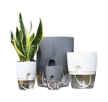 Self-watering pot.png