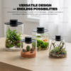 Desktop Glass Plant Terrarium with Grow Light