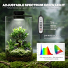 Desktop Glass Plant Terrarium with Grow Light