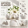 Indoor Plant Pot