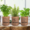 5 Garden Starter Kit with Complete Planting & Plastic Flower Box for Home Kitchen Windowsill DIY Hydroponic Indoor Herb Grow Kit