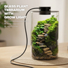 Desktop Glass Plant Terrarium with Grow Light