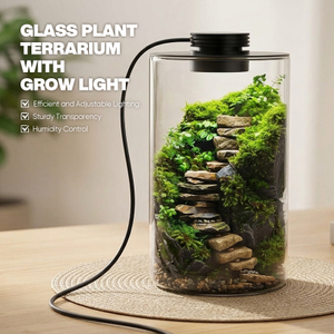 Desktop Glass Plant Terrarium with Grow Light