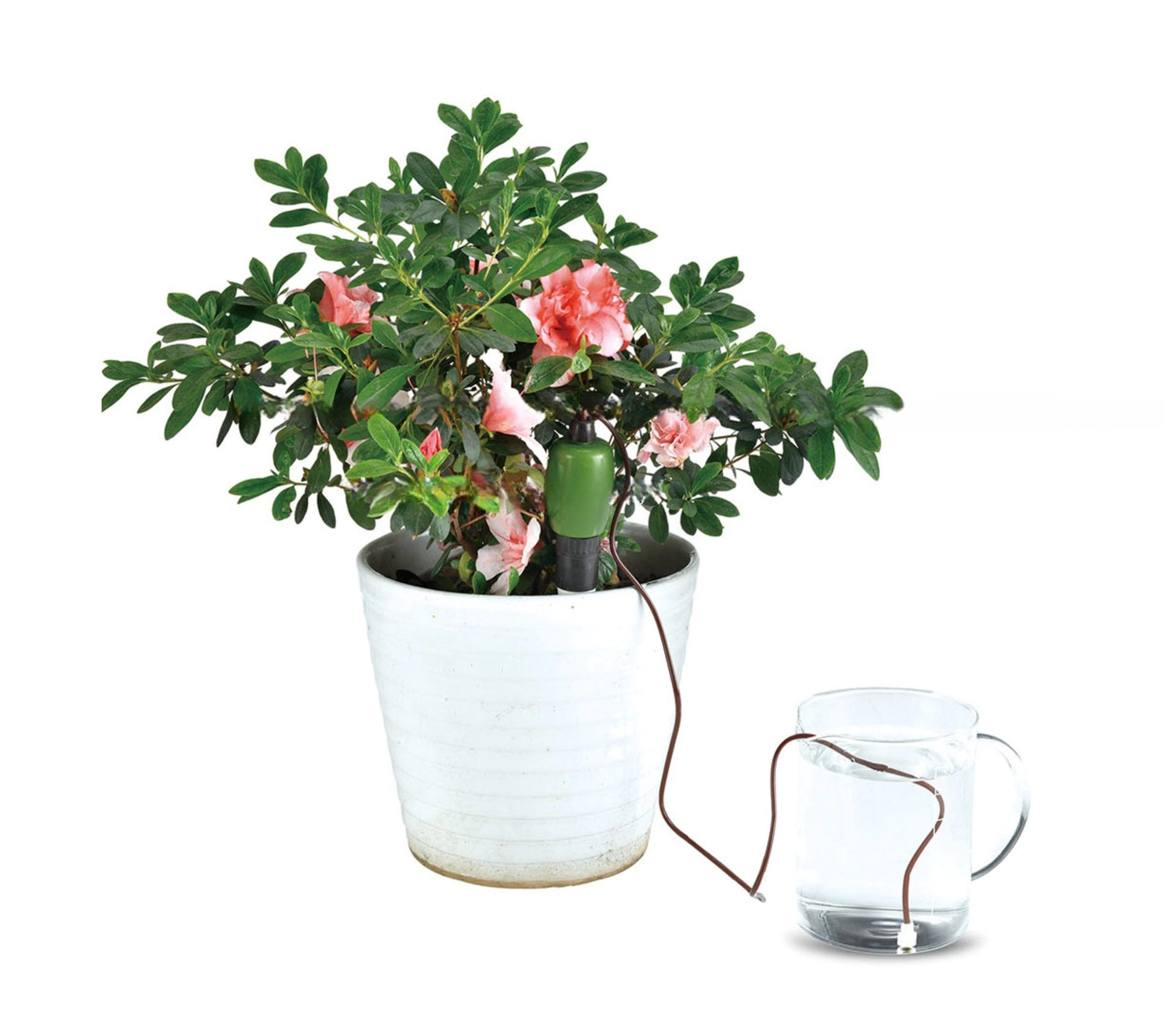 Indoor and Outdoor Wine Bottle Stakes